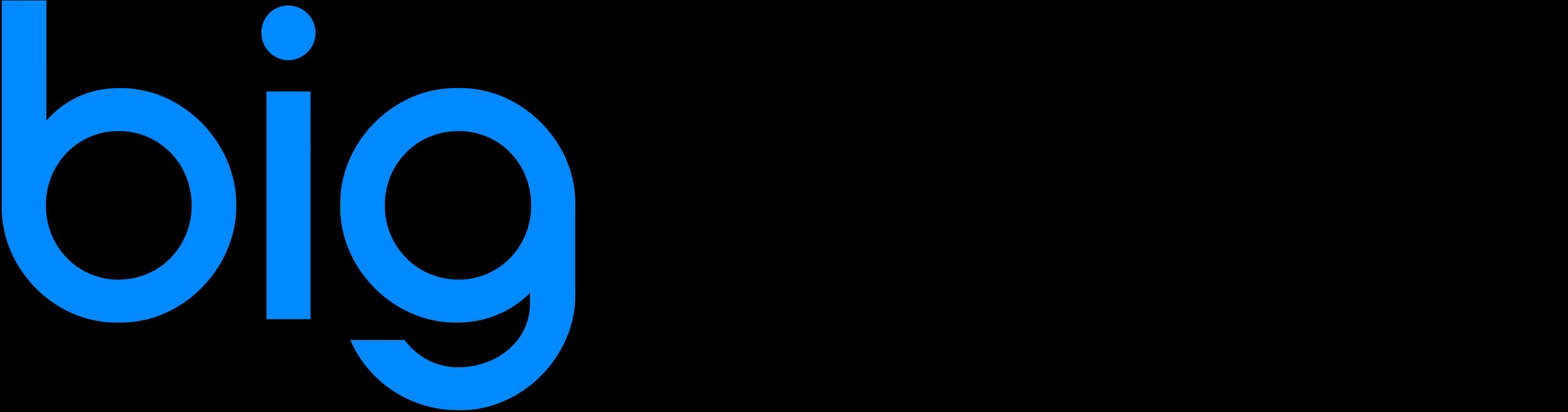 Bigsmall logo